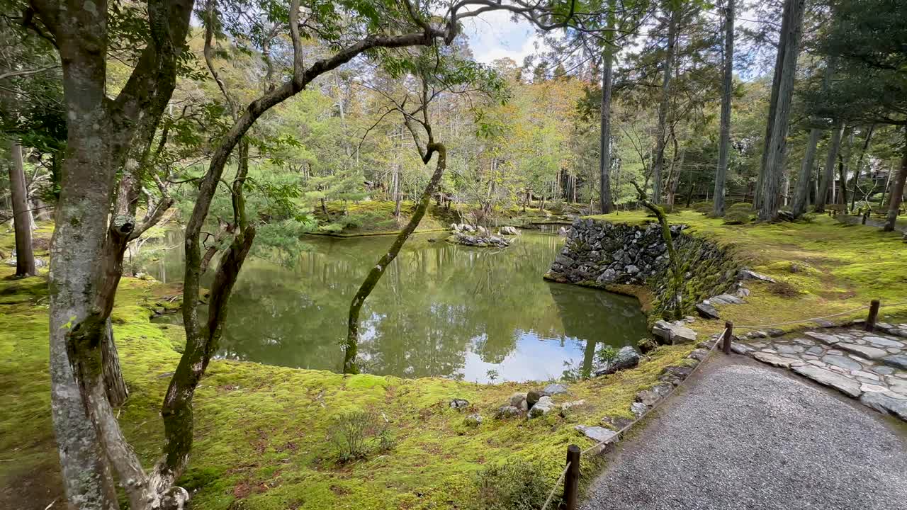 kokedera, jardín del templo de musgo con reflejos de espejo en un lago en kyoto, japón