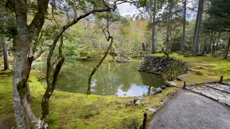 kokedera, moss temple garden with mirror reflections on a lake in kyoto, japan