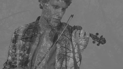 animation of rotating tree tops over caucasian man playing violin in black and white