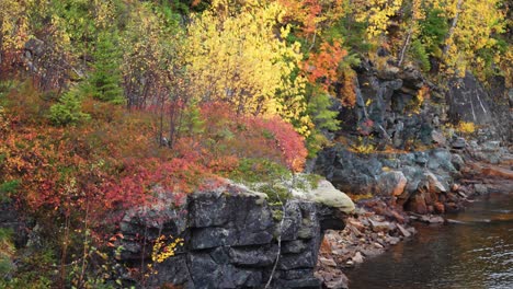 una vista panorámica de otoño de un arroyo que fluye a lo largo de acantilados rocosos adornados con vibrantes follajes de otoño