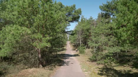 Asphalt-Pedestrian-Road-Leading-into-The-Smiltyne-Forest