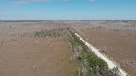 Bucle-Carretera-Florida-Everglades-Gran-Ciprés-Pantano-Establecimiento-Tiro-Aéreo-Dron-Inclinación-Revelar-Horizonte