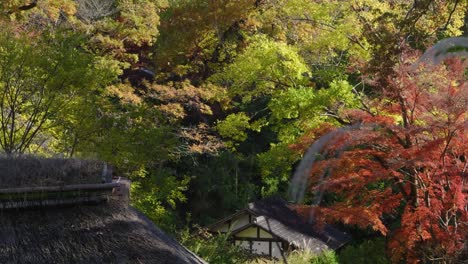 slow cinematic slider over straw roof house in fall colors