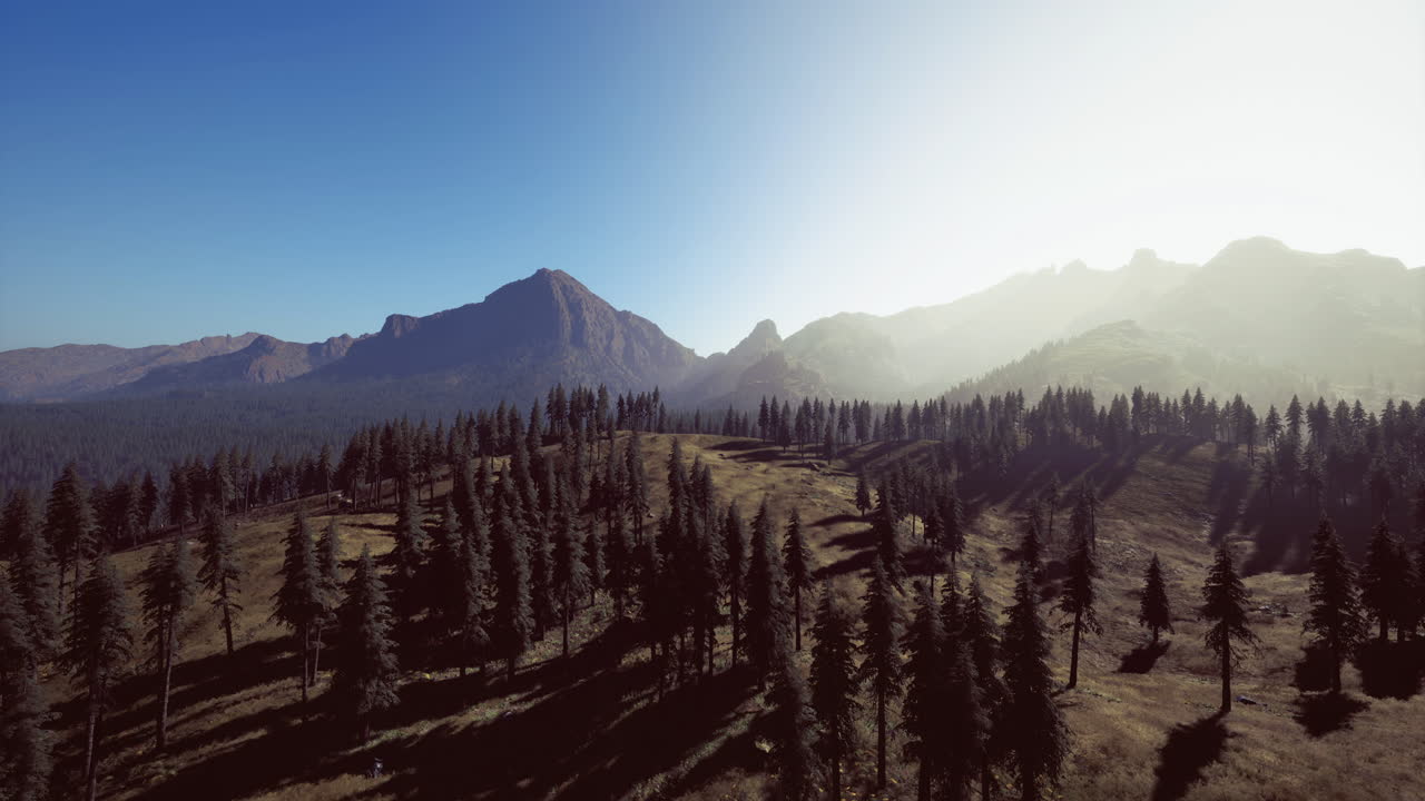 Majestetisk fjellandskap med frodige skoger under en klar, blå himmel