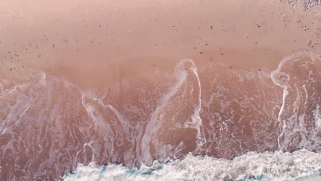 Vista-De-Arriba-Hacia-Abajo-De-La-Playa-Rosa-Tropical-Con-Olas-Creando-Espuma-Blanca