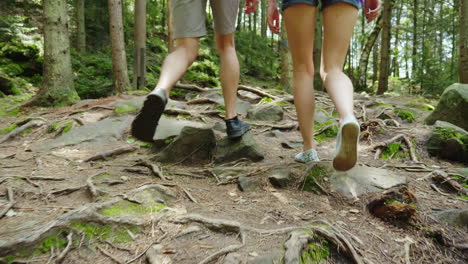 a couple of tourists are walking along a mountain path covered with the roots of large trees adventu