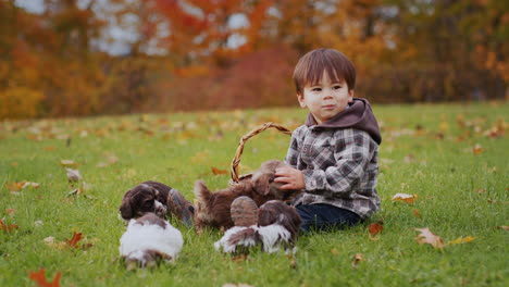 asian toddler playing with puppies in the park