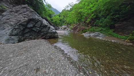 Fast-low-fpv-aerial-flight-through-jungle-river-in-dense-tropical-rainforest