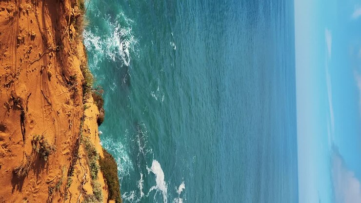 Zambujeira do Mar sulla costa con onde oceaniche, scogliere e dune di sabbia ricoperte da vegetazione verde e foglie rosse di fico degli Ottentotti, in una giornata di sole con cielo azzurro limpido