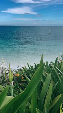 tropical beach view with sailing boat