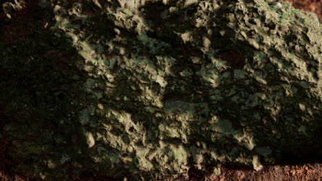 cerca de la formación de piedras rocosas