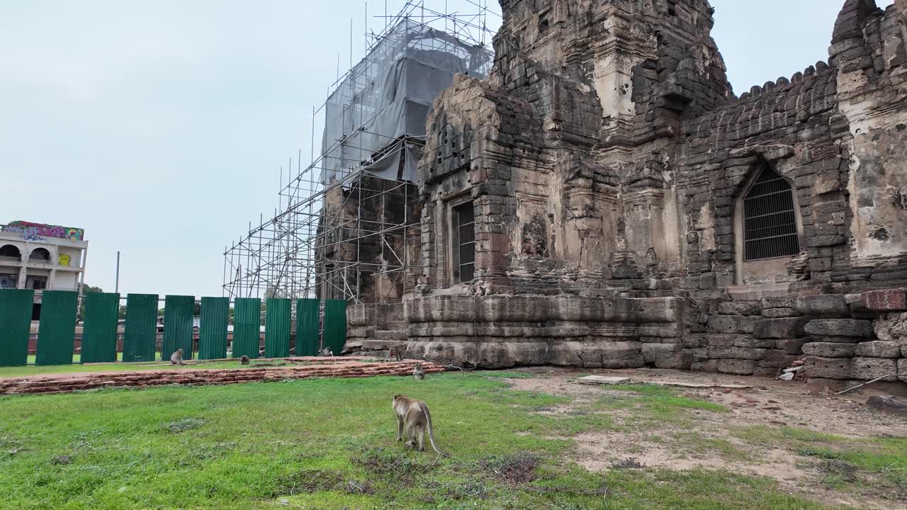 Wide shot of the exterior of Phra Prang Sam Yot Temple in Lopburi, Thailand, with monkeys walking freely outside