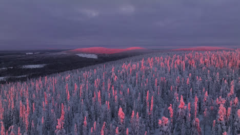 Toma-De-Seguimiento-Aéreo-Sobre-Desierto-Nevado-En-El-Parque-Nacional-De-Syote,-Puesta-De-Sol-De-Invierno-En-Finlandia