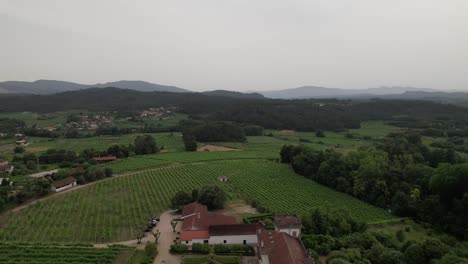 Aerial-View-Palace-of-Brejoeira.-Monção,-Portugal