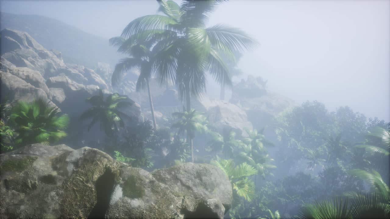 ⁇ 나무 를 가로지르는 해 가 지는 광선