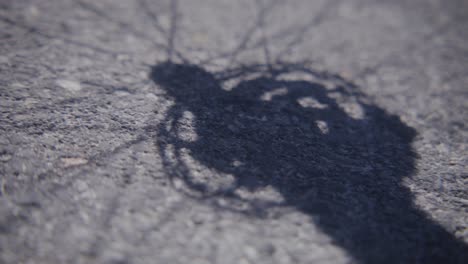 sombra de engranajes de bicicleta en el hormigón