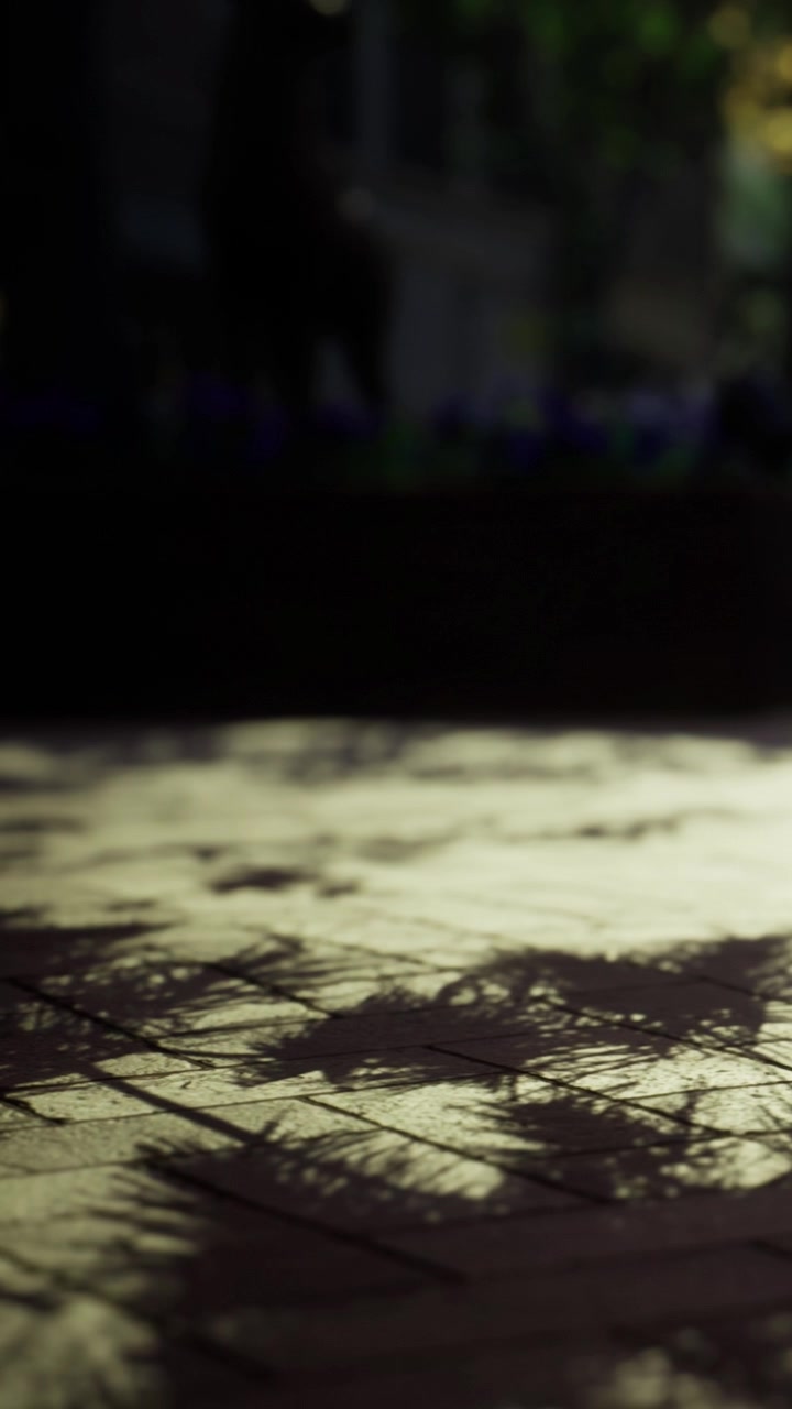 Luce e ombra creano motivi sul terreno durante la sera