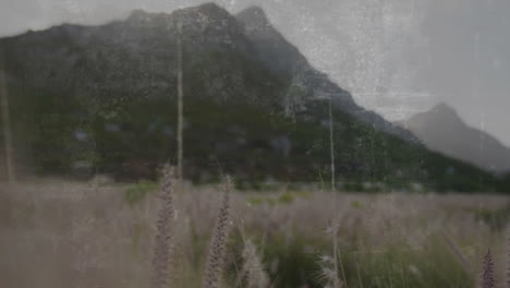 tall grass swaying in foreground, mountain landscape creating serene animation scene
