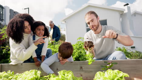 family, farming and plants in home garden