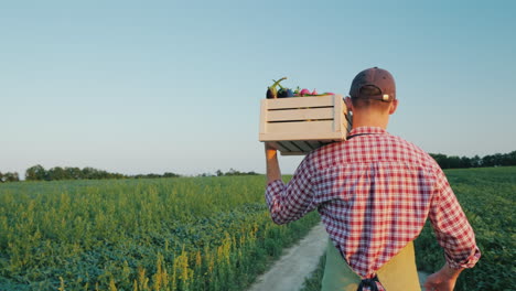 a young male farmer walks along the field with a box of fresh vegetables 4k video