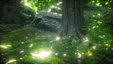 scenic forest of fresh green deciduous trees framed by leaves