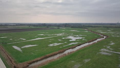 Eine-Handvoll-Vögel,-Die-An-Einem-Kalten,-Bewölkten-Wintertag-über-Grünes-Ackerland-Fliegen