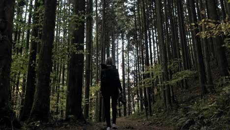 A cinematic video of a girl holding a camera in her hand as she walks with a backpack through the serene Nakasendo Forest in Japan.