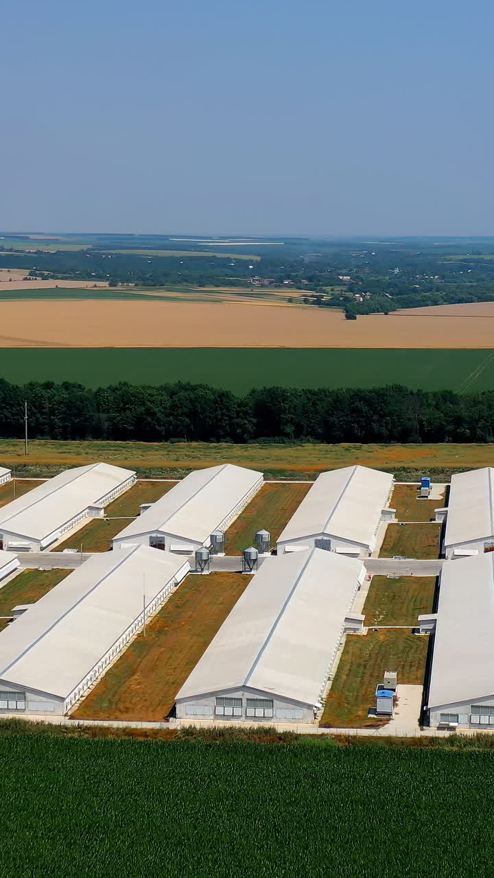 Farm on agricultural farmland. White barn houses in the countryside. Modern farm on nature landscape. Aerial view. Ecological problems. Vertical video
