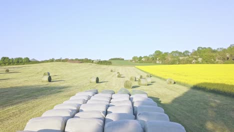 aerial view of professional hay harvest  on a farmland in germany