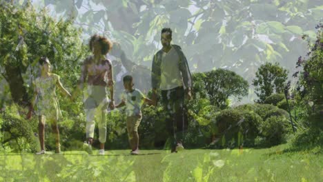 composite video of tall tress against african american family holding hands walking in the garden