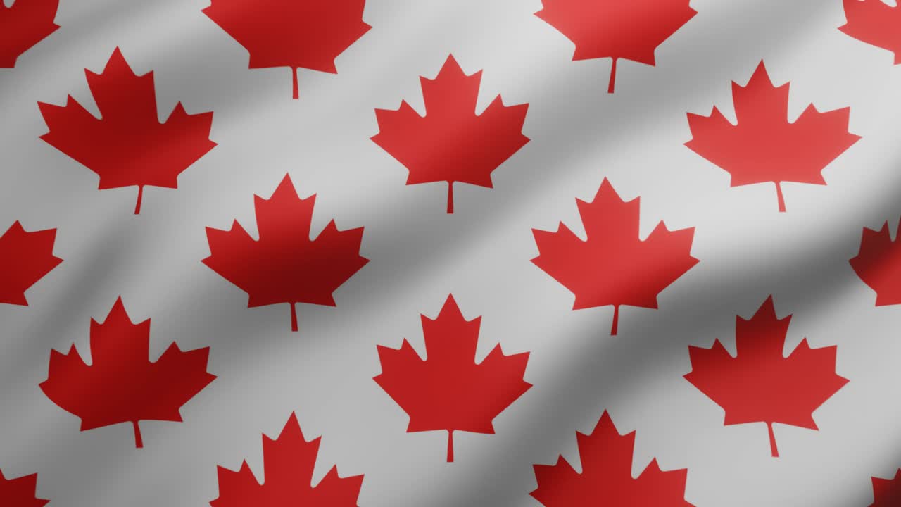 hojas de arce rojo canadiense sobre un fondo blanco. animación de bucle sin costuras geométrica ondulante