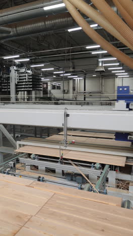 modern equipment is polishing wooden boards at the plant of woodworking. manufacturing of parquet . production line vertical video