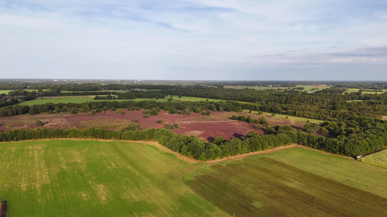 Aerial view of fields, forest and heathland