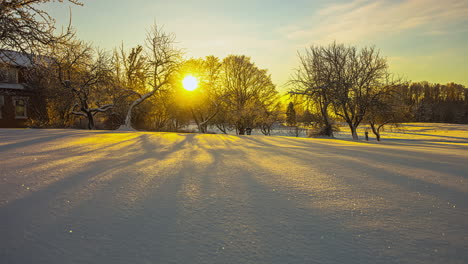 Pintoresco-Amanecer-Dorado-Que-Se-Levanta-Detrás-De-árboles-Sin-Hojas-Durante-El-Frío-Día-De-Invierno-Nevado-En-La-Naturaleza