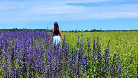 lavender field plant flowers beautiful woman walking outdoor limbazi latvia