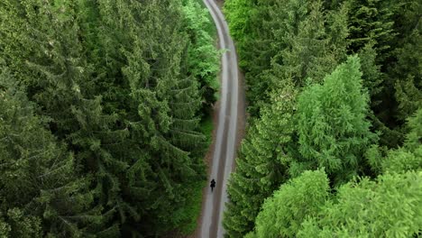 man walking alone in the forest on a path. a solitary walk in nature from a drone perspective