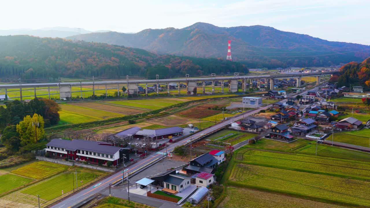 Peaceful Autumn Village in Japan, Aerial Shot of Rice fields and Fall Colors