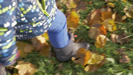 child walking on dry leaves in autumn