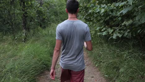 young man walking in the forest, summer time