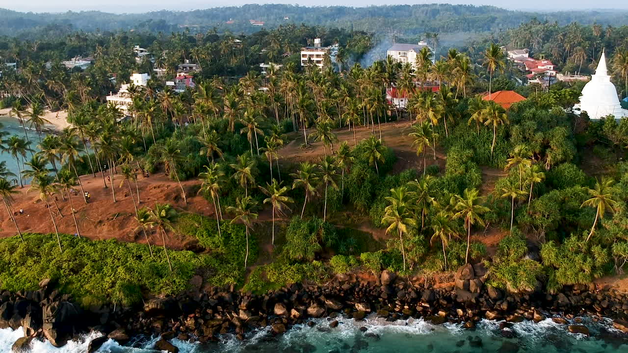 Vue aérienne de la Colline des Cocotiers, palmiers isolés