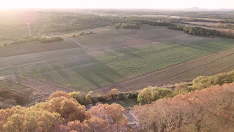 Large-grassy-open-field-in-southern-France-with-shrub-and-tree-border,-Aerial-orbit-shot