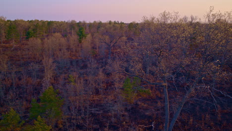 tomas expansivas de drones de una gran área forestal dañada por el fuego.