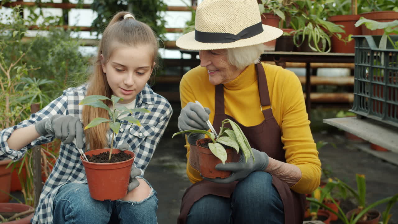 Grandmother and Granddaughter Gardening in Greenhouse