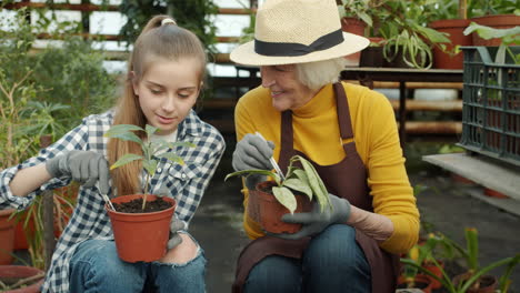 grandmother and granddaughter gardening in greenhouse