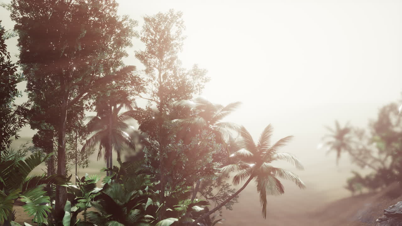 el bosque tropical de palmeras en la niebla
