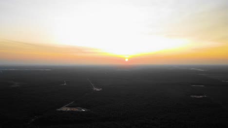 Filmische-Drohnenaufnahmen-Der-Ölpalmenplantage-In-Riau,-Indonesien,-Da-Das-Land-Der-Weltweit-Größte-Produzent-Und-Verbraucher-Des-Rohstoffs-Ist-Und-Etwa-Die-Hälfte-Des-Weltweiten-Angebots-Liefert