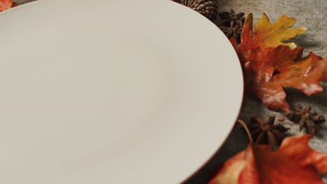 video of plate with autumn leaves and decoration lying on grey surface