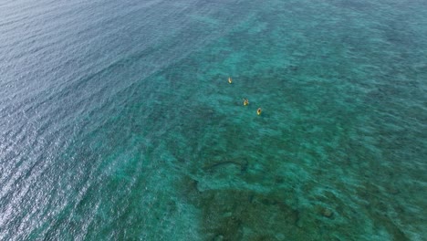 Kayakers-on-perfect-sunny-day-paddling-through-super-clear-tropical-blue-water