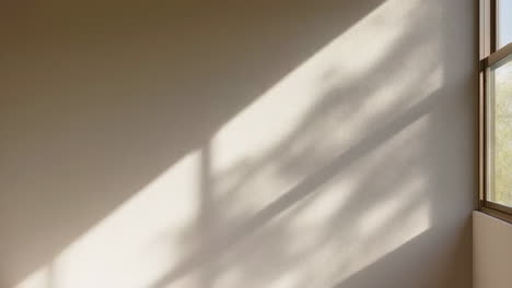 abstract sunlight on wall
