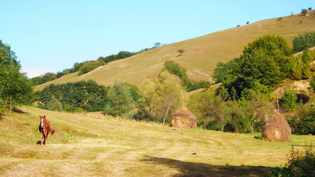 toma panorámica del campo